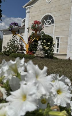Июльский вальс цветов и долгожданное возвращение.