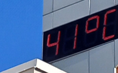 Живой символ стойкости!