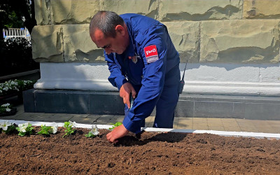 Сажали всем вокзалом: петунии, флаг и море улыбок!