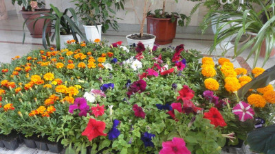 Маленький, но значимый шаг к созданию комфортной и привлекательной городской среды.