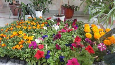 Маленький, но значимый шаг к созданию комфортной и привлекательной городской среды.