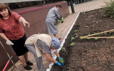Наша клумба набирает силу &mdash; красота в процессе! 