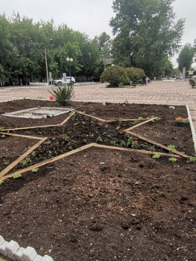Наша клумба набирает силу &mdash; красота в процессе! 