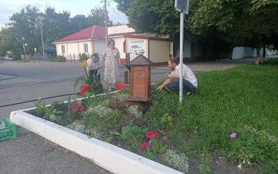 Участие пассажиров в проекте ЦветыВокзалПобеда
