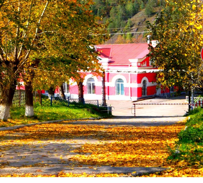 Вязовая