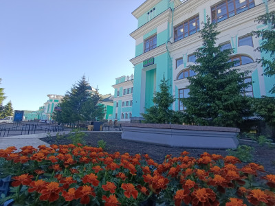 Первые приятные хлопоты 