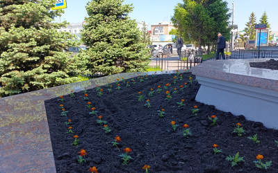 Первые приятные хлопоты 