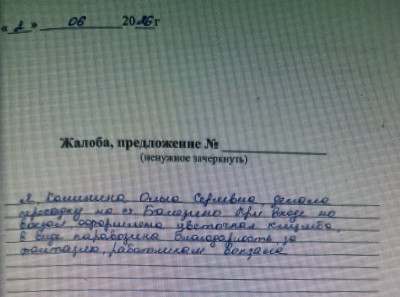 Комилина Ольга Сергеевна 