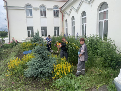 Цветы цветут вопреки дождю