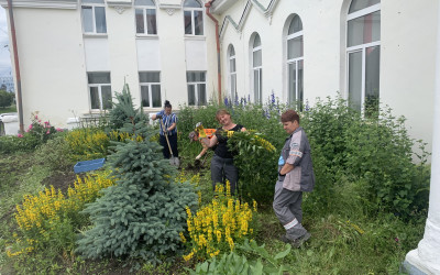 Цветы цветут вопреки дождю