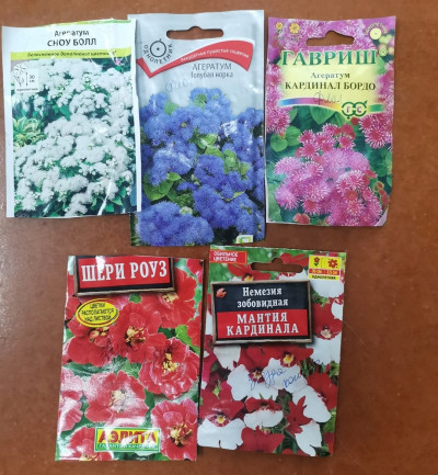 Воплощение идеи