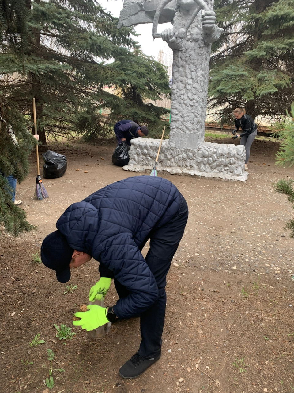 Зеленая весна